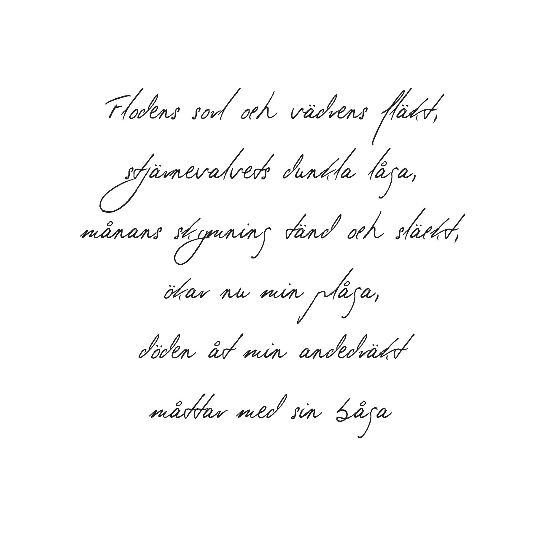Valentin - Bild 3